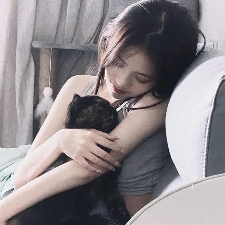 天堂岛疑云第五季